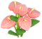 분홍색