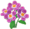 연분홍색