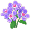 보라색