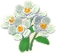 흰색