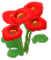 빨간색