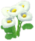 흰색