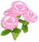 분홍색