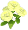 흰색