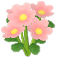 분홍색