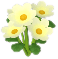 흰색