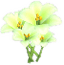 흰색