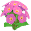 연분홍색