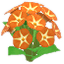 주황색