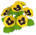 노란색