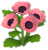 분홍색