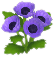 보라색