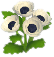 흰색