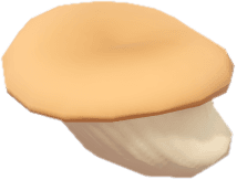 이상한 느타리버섯