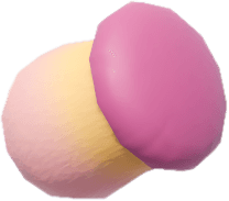 이상한 그물버섯