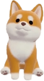 시바견